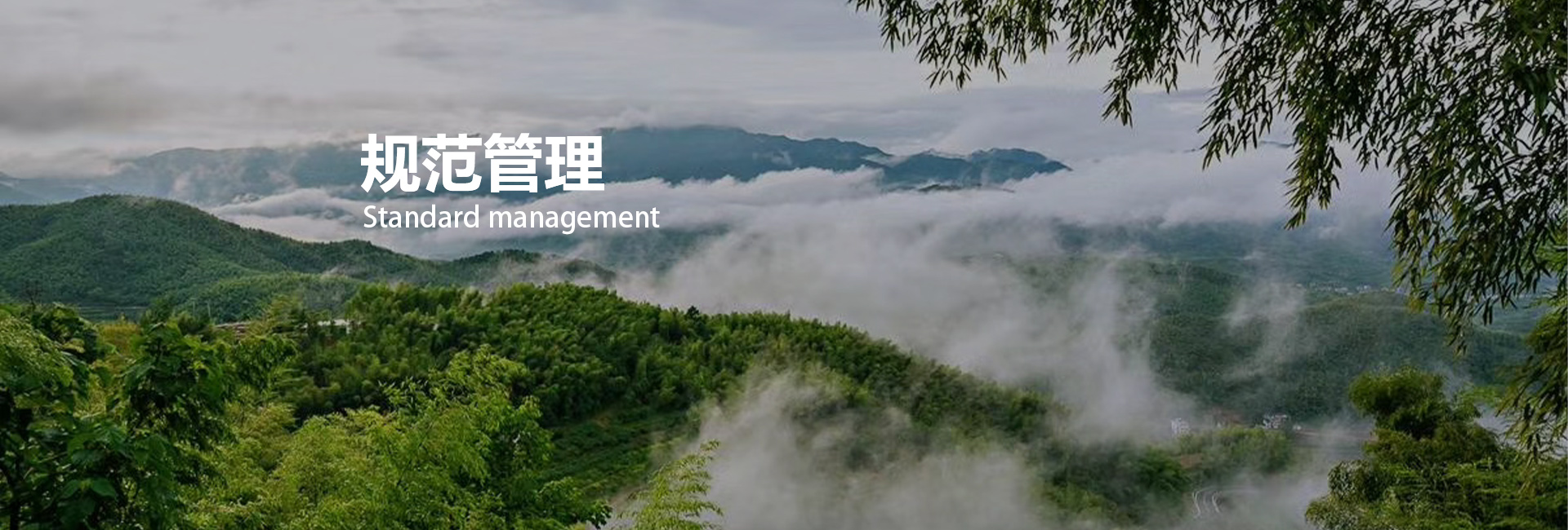 博天堂(btt)官网-918博天堂,让你更精彩